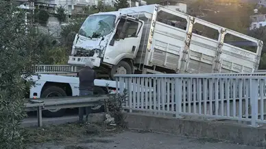 Hatay’da Hayvan Taşıyan TIR Alev Alarak Devrildi! 2 Can Kaybı